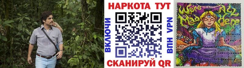 Галлюциногенные грибы Дзержинский