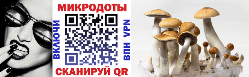 mega как войти где продают Дзержинский Галлюциногенные грибы MAGIC MUSHROOMS